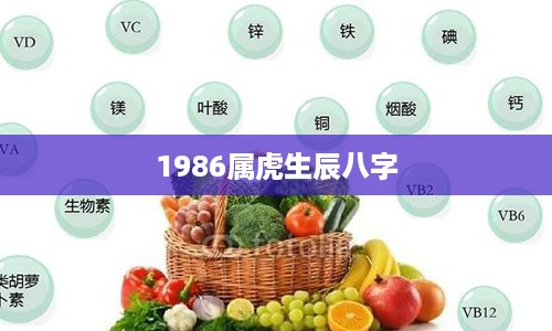 1986属虎生辰八字