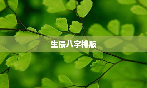 生辰八字排版