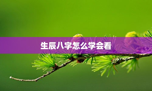 生辰八字怎么学会看