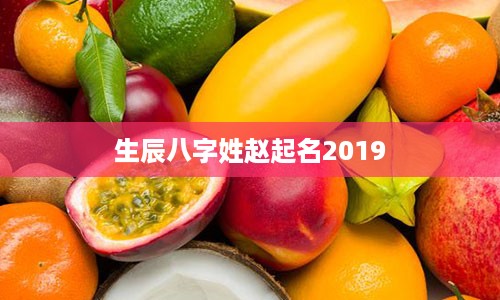 生辰八字姓赵起名2019