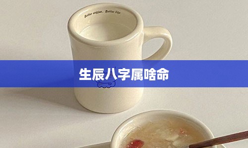 生辰八字属啥命