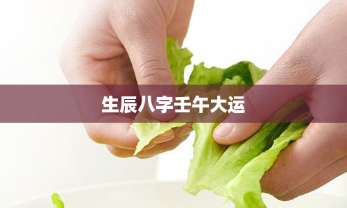 生辰八字壬午大运