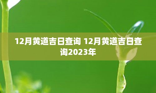 12月黄道吉日查询 12月黄道吉日查询2023年