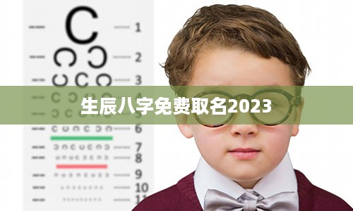 生辰八字免费取名2023