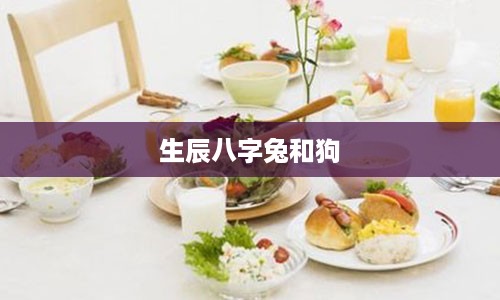 生辰八字兔和狗