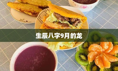 生辰八字9月的龙