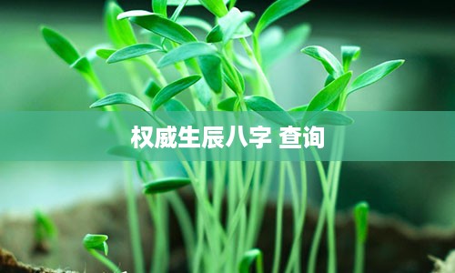 权威生辰八字 查询