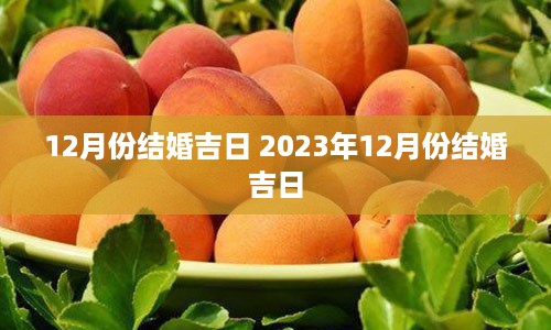 12月份结婚吉日 2023年12月份结婚吉日