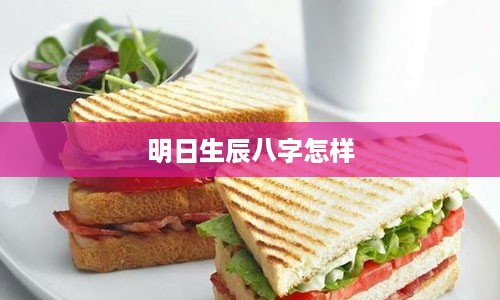 明日生辰八字怎样