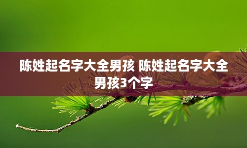 陈姓起名字大全男孩 陈姓起名字大全男孩3个字