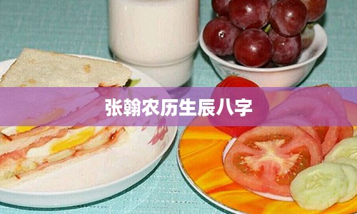 张翰农历生辰八字