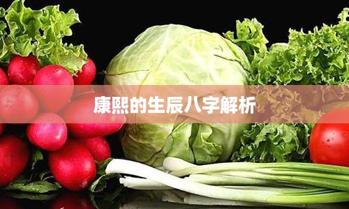 康熙的生辰八字解析