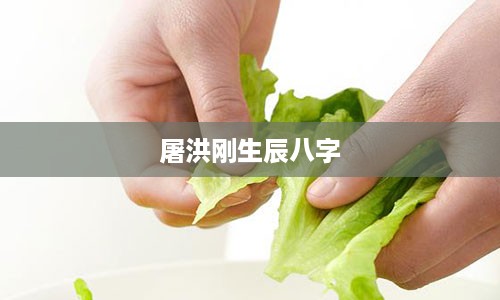 屠洪刚生辰八字