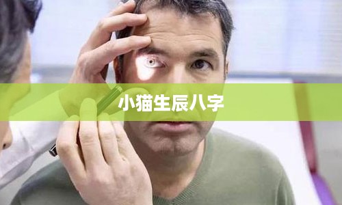 小猫生辰八字