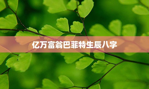 亿万富翁巴菲特生辰八字