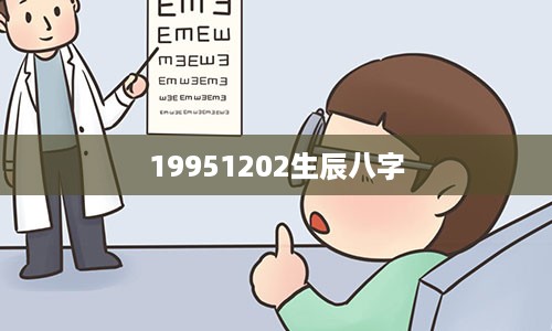 19951202生辰八字