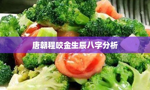 唐朝程咬金生辰八字分析