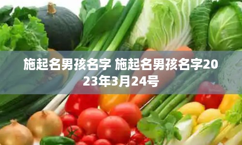 施起名男孩名字 施起名男孩名字2023年3月24号