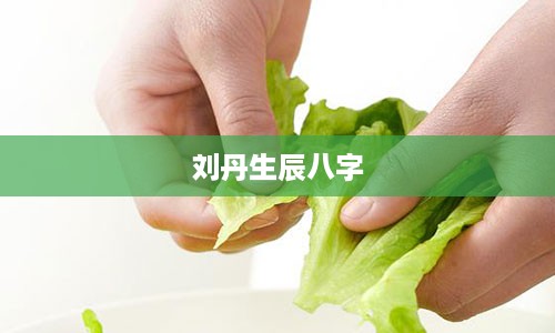 刘丹生辰八字