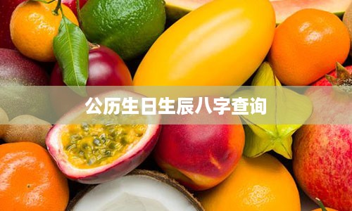 公历生日生辰八字查询