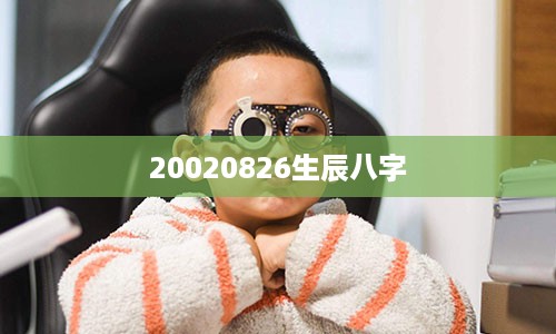 20020826生辰八字