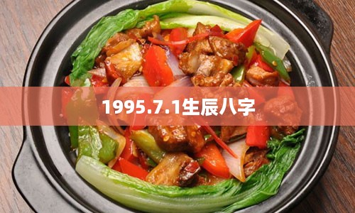 1995.7.1生辰八字