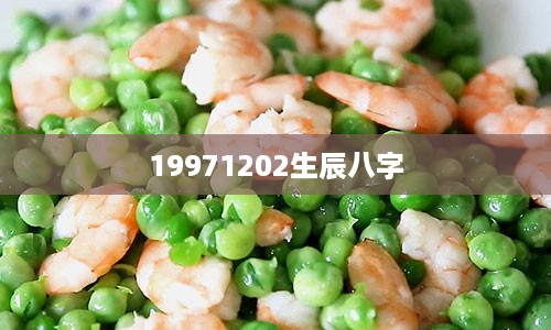 19971202生辰八字