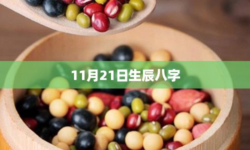 11月21日生辰八字