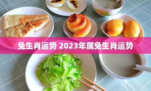 兔生肖运势 2023年属兔生肖运势