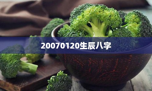 20070120生辰八字