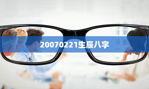 20070221生辰八字