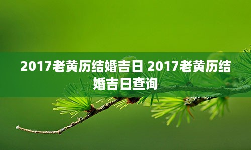 2017老黄历结婚吉日 2017老黄历结婚吉日查询