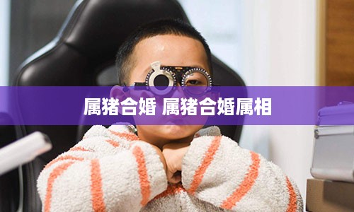 属猪合婚 属猪合婚属相