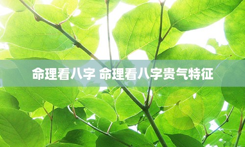 命理看八字 命理看八字贵气特征