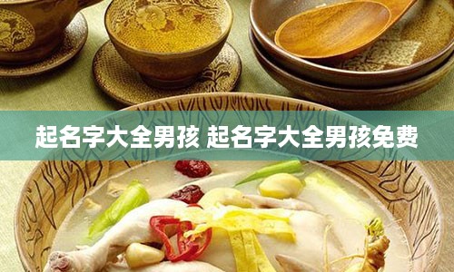 起名字大全男孩 起名字大全男孩免费