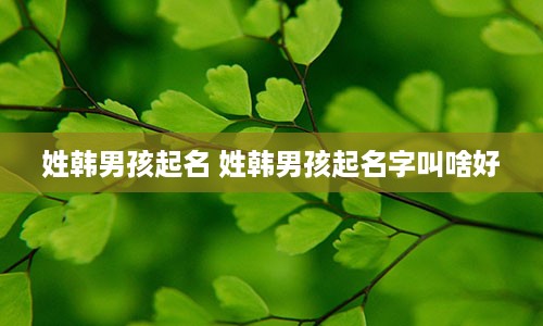 姓韩男孩起名 姓韩男孩起名字叫啥好