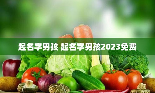 起名字男孩 起名字男孩2023免费