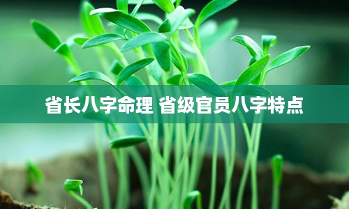 省长八字命理 省级官员八字特点