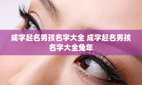 成字起名男孩名字大全 成字起名男孩名字大全兔年