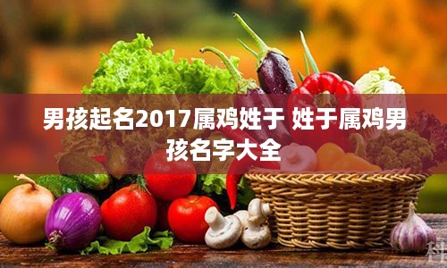 男孩起名2017属鸡姓于 姓于属鸡男孩名字大全
