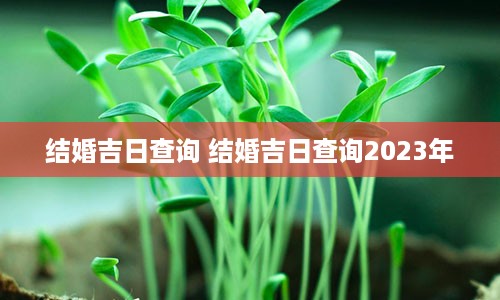 结婚吉日查询 结婚吉日查询2023年