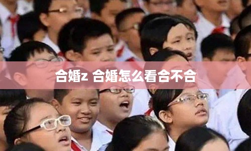 合婚z 合婚怎么看合不合