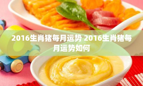2016生肖猪每月运势 2016生肖猪每月运势如何