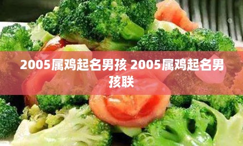 2005属鸡起名男孩 2005属鸡起名男孩联