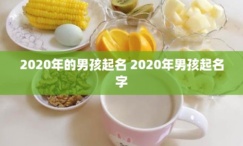 2020年的男孩起名 2020年男孩起名字