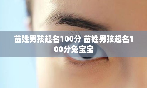 苗姓男孩起名100分 苗姓男孩起名100分兔宝宝