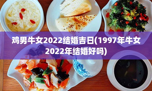 鸡男牛女2022结婚吉日(1997年牛女2022年结婚好吗)