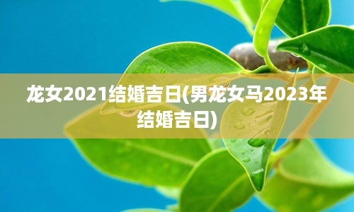 龙女2021结婚吉日(男龙女马2023年结婚吉日)