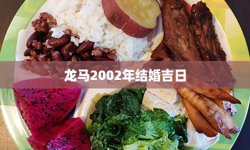 龙马2002年结婚吉日