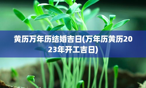 黄历万年历结婚吉日(万年历黄历2023年开工吉日)